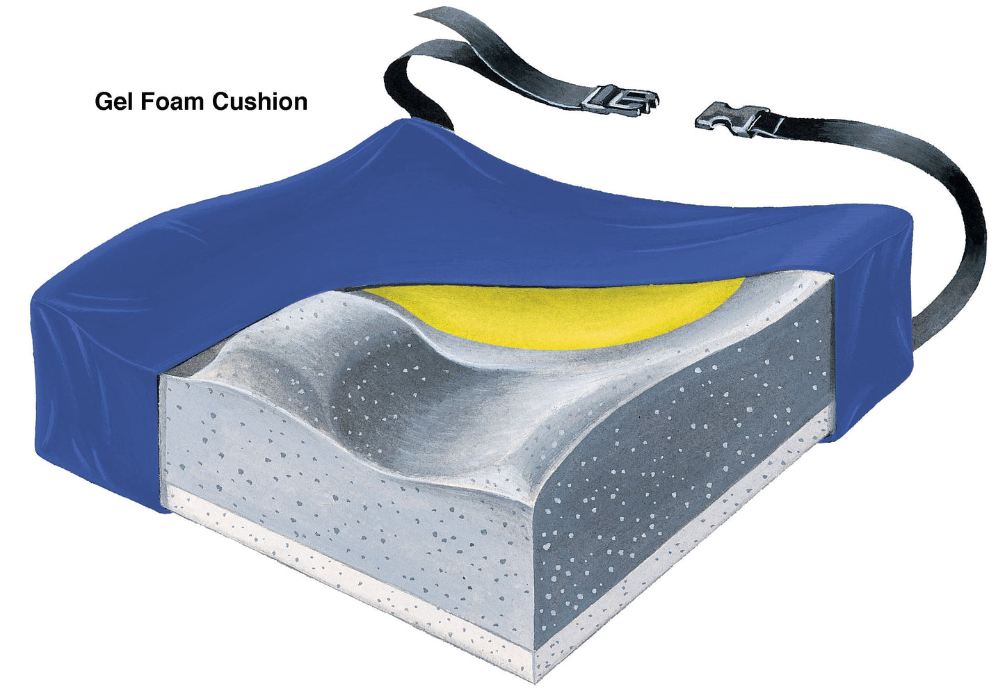 Contour Plus Cushion