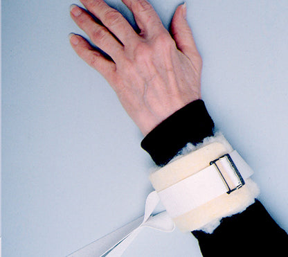 Economy Limb Holder